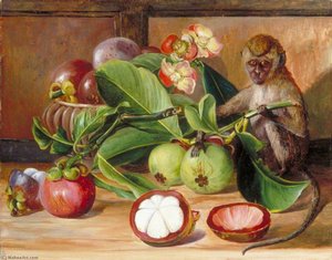 Flowers And Fruit Of The Mangosteen, And A Singapore Monkey — Marianne North, Romanticism