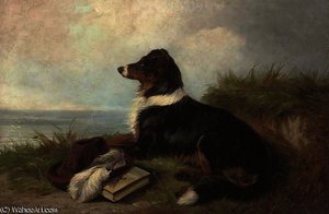 Waiting And Watching — Colin Graeme Roe