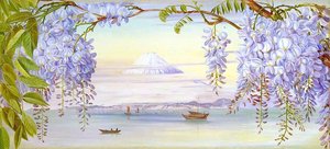 Distant View Of Mount Fujiyama, Japan, And Wistaria — Marianne North