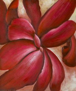 Red Cannas — Georgia O'keeffe