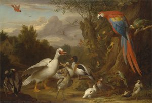 A Macaw, Ducks, Parrots And Other Birds In A Landscape — Jakob Bogdani