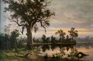 On The Murray Flats, South Australia , (1880) — Henry James Johnstone
