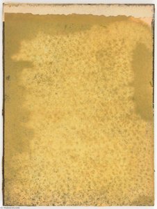 Untitled (manila Paper Stained Yellow) — Joseph Cornell