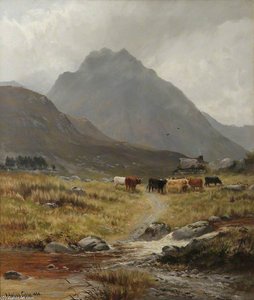 Trefan - Highland Cattle In A Glen — Henry Hadfield Cubley