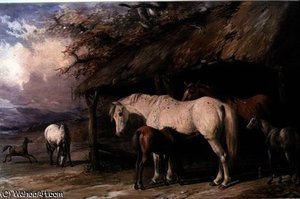 Mares and Foals