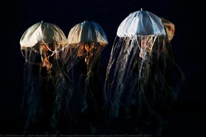 The Magnificent Lovers, Staging By Vincent Tavernier, 2017 — Jean-baptiste Lully