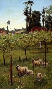 Sheep In An Orchard — Alice Mary Havers