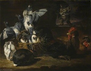 Poultry And Cat — David De Coninck