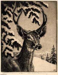 Virginia Deer — Benson B Moore