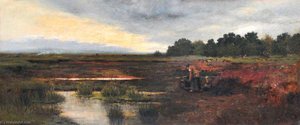 Peat Moss