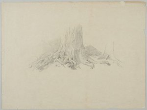 Tree Roots — William Trost Richards