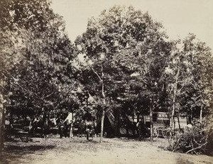 Head Quarters New York Herald, Army Of The Potomac (bealton) — Timothy O'sullivan Alexander Gardner
