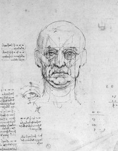 Study On The Proportions Of Head And Eyes — Leonardo Da Vinci