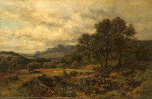 Mountain Pasture, Snowdonia — Richard Gay Somerset