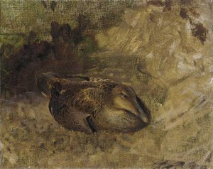 Study Of A Wild Duck — Bruno Andreas Liljefors
