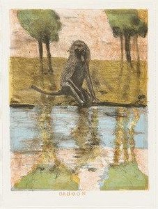 Baboon — Robert Andrew Parker