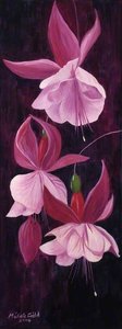 Fuchsia