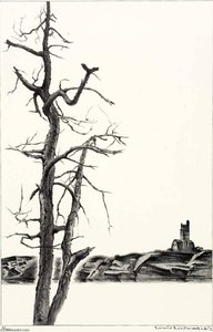 Halibut Point, Rockport — Louis Lozowick
