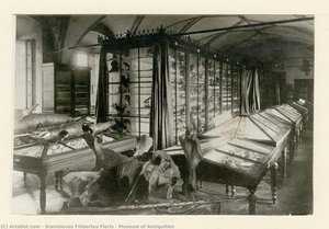 Museum Of Antiquities — Stanislovas Filibertas Fleris