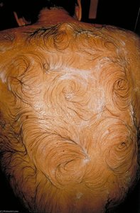 Van Gogh’s Back — Mona Hatoum