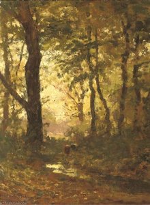 A Forest Stream