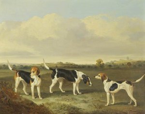 Three Foxhounds In A Landscape — John Dalby