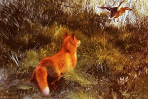Eluding the fox