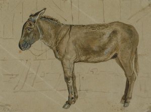 A Donkey In A Stable — John Frederick Lewis