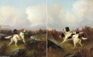 Setters On A Moor — Colin Graeme Roe