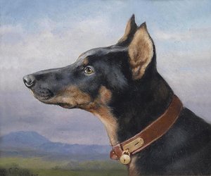 Portrait Of A Doberman — Carl Reichert