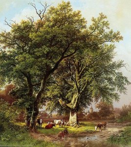 Beech in front of castle Moyland Sun