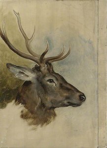Two Studies Of A Stag's Head (verso) — Sir Edwin Henry Landseer, Contemporary Realism