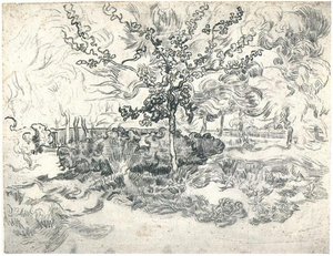 Garden Of The Asylum — Vincent Willem Van Gogh