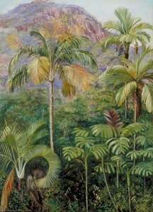 Palms In Mahé, Seychelles — Marianne North