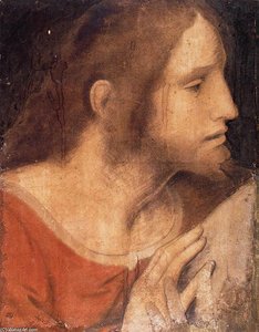 Head Of St James The Less — Leonardo Da Vinci