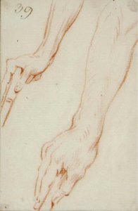 Studies Of Hands — Nicolas Lancret