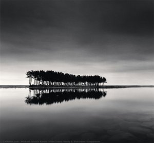 Pine Trees, Study 1, Wolcheon, Gangwondo — Michael Francis Kenna, Japanese Landscape Painting