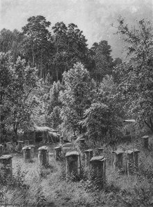 Bee Families — Ivan Ivanovich Shishkin