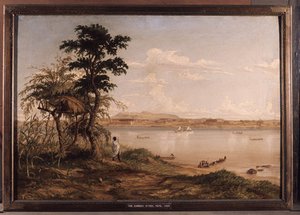 The Zambezi River — Thomas Baines