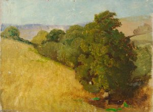 Trees In A Valley — Benjamin Haughton
