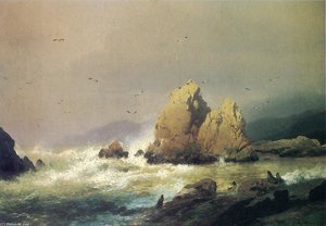 Seal Rocks — Herman Herzog
