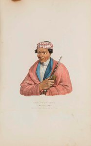 Can No Sa Qua A Pottowattomie Chief, From The Aboriginal Portfolio — James Otto Lewis