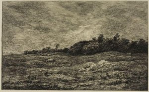 The Meadow Graves Villerville (calvados) — Charles-françois Daubigny