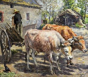 Oxen In Brittany — Fairlie Harmar