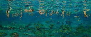 Swimmers Under Water — Maria Filopoulou