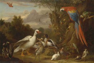 A Macaw, Ducks, Parrots And Other Birds In A Landscape — Jakab Bogdány