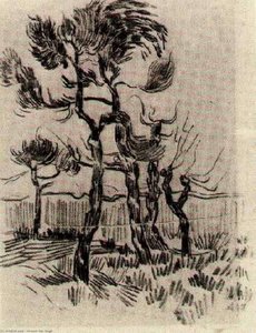 Pine Trees In Front Of The Wall Of The Asylum 4 — Vincent Willem Van Gogh