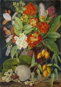 New Zealand Flowers And Fruit — Marianne North