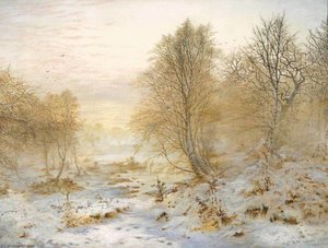 Silvery Moments, Burnham Beeches — Andrew Mccallum
