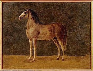 Cheval De Napoléon Ier L'aboukir — Martinet Pierre